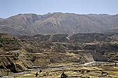 The Colca Valley is one of the most intensively terraced regions in the Andes 